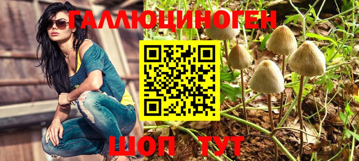 Алапаевск  Псилоцибиновые грибы Cubensis  Вход с VPN 
